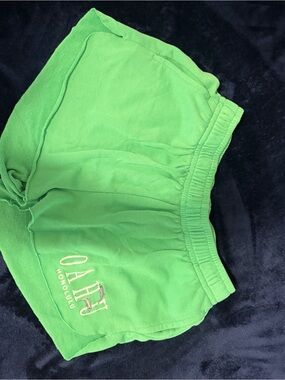 Oahu Embroidered Green Women's Shorts